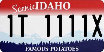 ID license plate 1T1111X