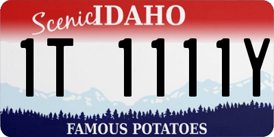 ID license plate 1T1111Y