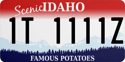 ID license plate 1T1111Z