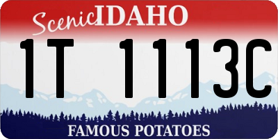 ID license plate 1T1113C