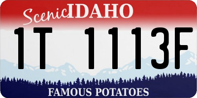 ID license plate 1T1113F
