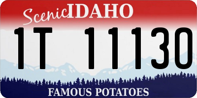 ID license plate 1T1113O
