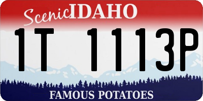 ID license plate 1T1113P