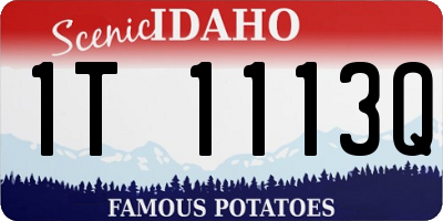 ID license plate 1T1113Q