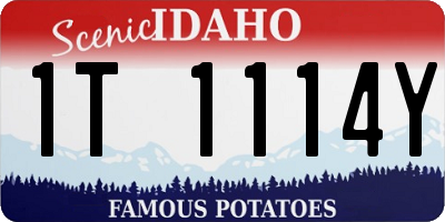 ID license plate 1T1114Y