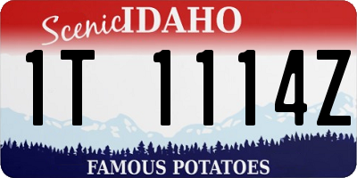 ID license plate 1T1114Z