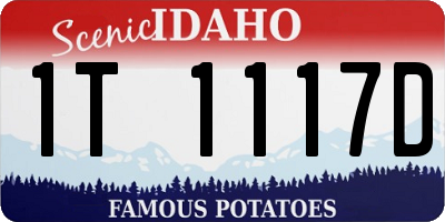 ID license plate 1T1117D