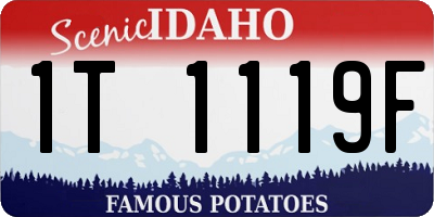 ID license plate 1T1119F