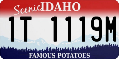 ID license plate 1T1119M