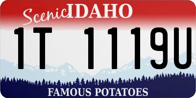 ID license plate 1T1119U