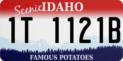ID license plate 1T1121B