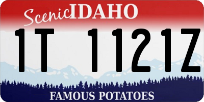 ID license plate 1T1121Z