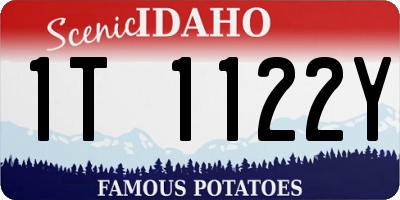 ID license plate 1T1122Y