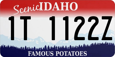 ID license plate 1T1122Z