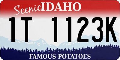 ID license plate 1T1123K