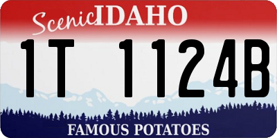 ID license plate 1T1124B