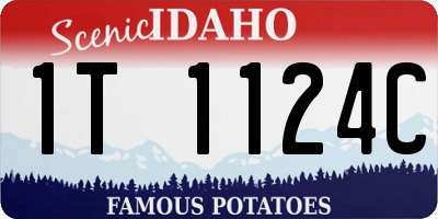 ID license plate 1T1124C