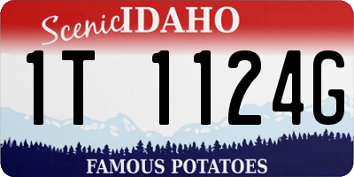 ID license plate 1T1124G