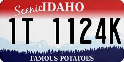 ID license plate 1T1124K