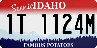 ID license plate 1T1124M