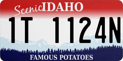 ID license plate 1T1124N