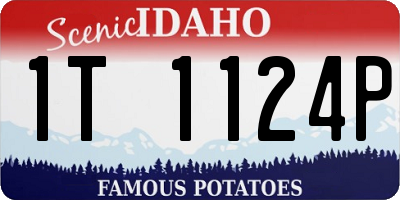 ID license plate 1T1124P