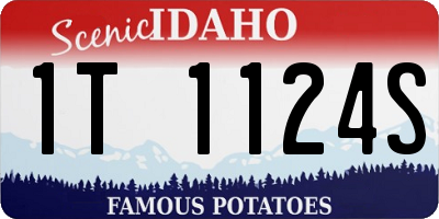 ID license plate 1T1124S