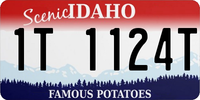 ID license plate 1T1124T