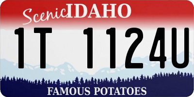 ID license plate 1T1124U