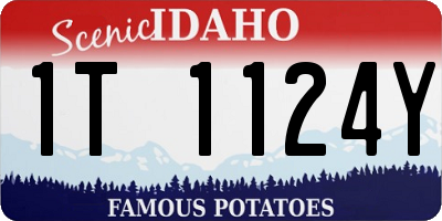 ID license plate 1T1124Y
