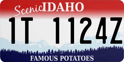 ID license plate 1T1124Z