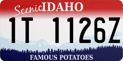 ID license plate 1T1126Z
