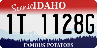 ID license plate 1T1128G