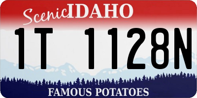 ID license plate 1T1128N