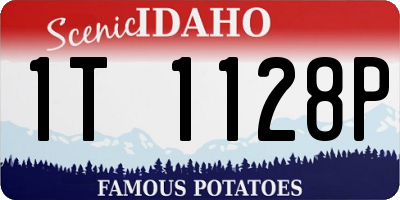 ID license plate 1T1128P