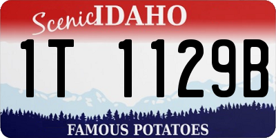 ID license plate 1T1129B