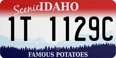 ID license plate 1T1129C