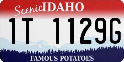 ID license plate 1T1129G