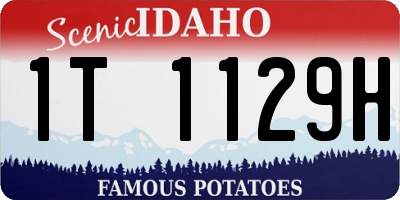 ID license plate 1T1129H