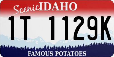 ID license plate 1T1129K