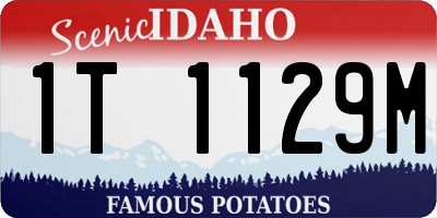 ID license plate 1T1129M