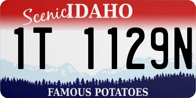 ID license plate 1T1129N