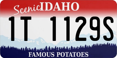 ID license plate 1T1129S