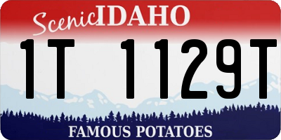 ID license plate 1T1129T