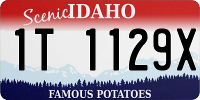 ID license plate 1T1129X
