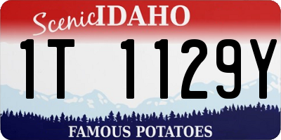 ID license plate 1T1129Y