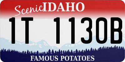 ID license plate 1T1130B