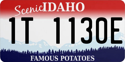 ID license plate 1T1130E
