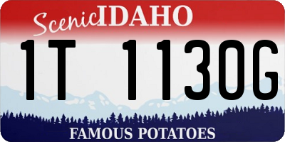 ID license plate 1T1130G