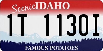 ID license plate 1T1130I